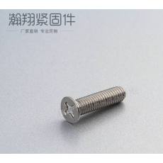 不銹鋼防盜螺絲、十字防盜螺絲