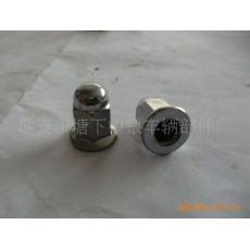 非標(biāo)蓋型螺母，蓋型螺母，螺母