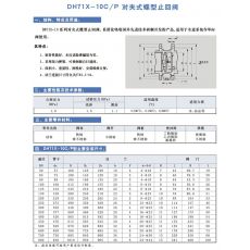 DH71X-10C/P 對(duì)夾式蝶型 止回閥