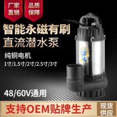 直流無刷潛水泵48V60V電瓶車水泵農(nóng)用灌溉排澇水井抽水機