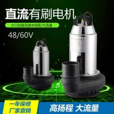 48V60V有刷直流潛水泵戶外農(nóng)業(yè)灌溉電動(dòng)車抽水泵